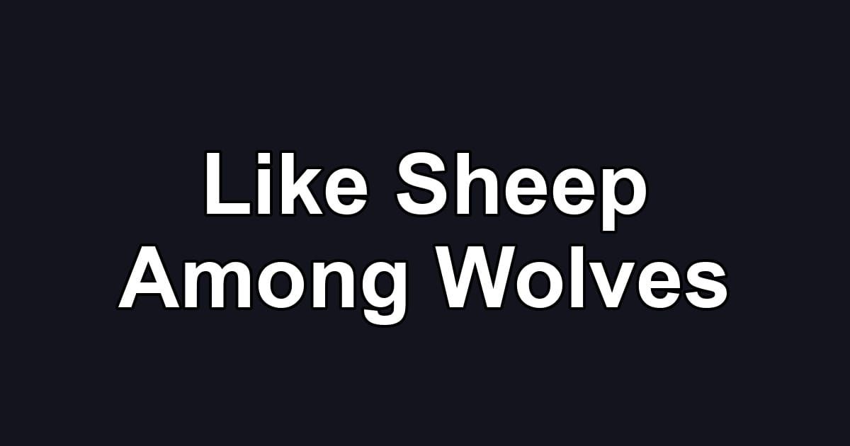 Like Sheep Among Wolves