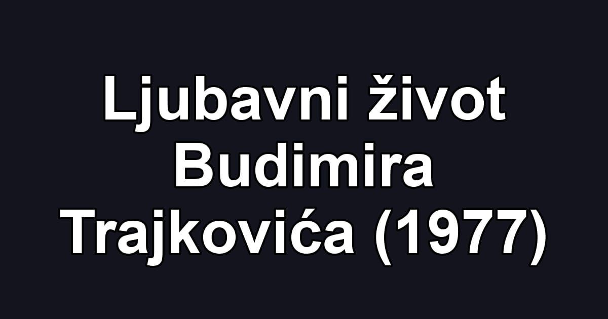 Ljubavni život Budimira Trajkovića (1977)