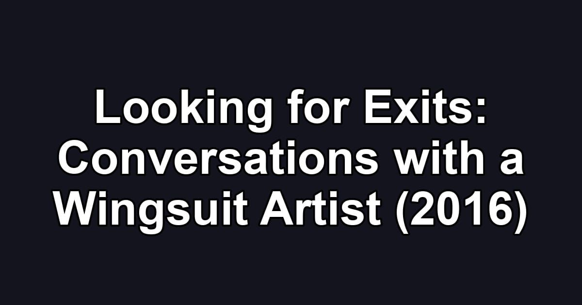 Looking for Exits: Conversations with a Wingsuit Artist (2016)