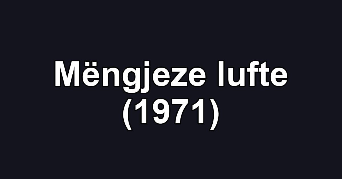 Mëngjeze lufte (1971)