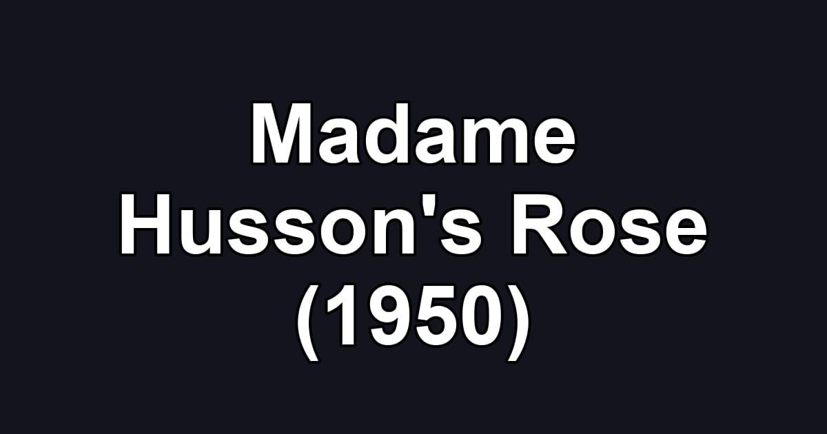 Madame Husson's Rose (1950)