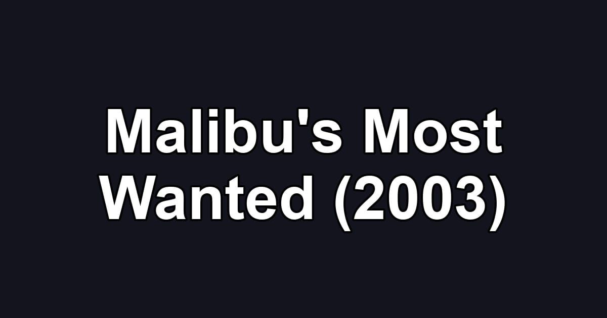 Malibu's Most Wanted (2003)