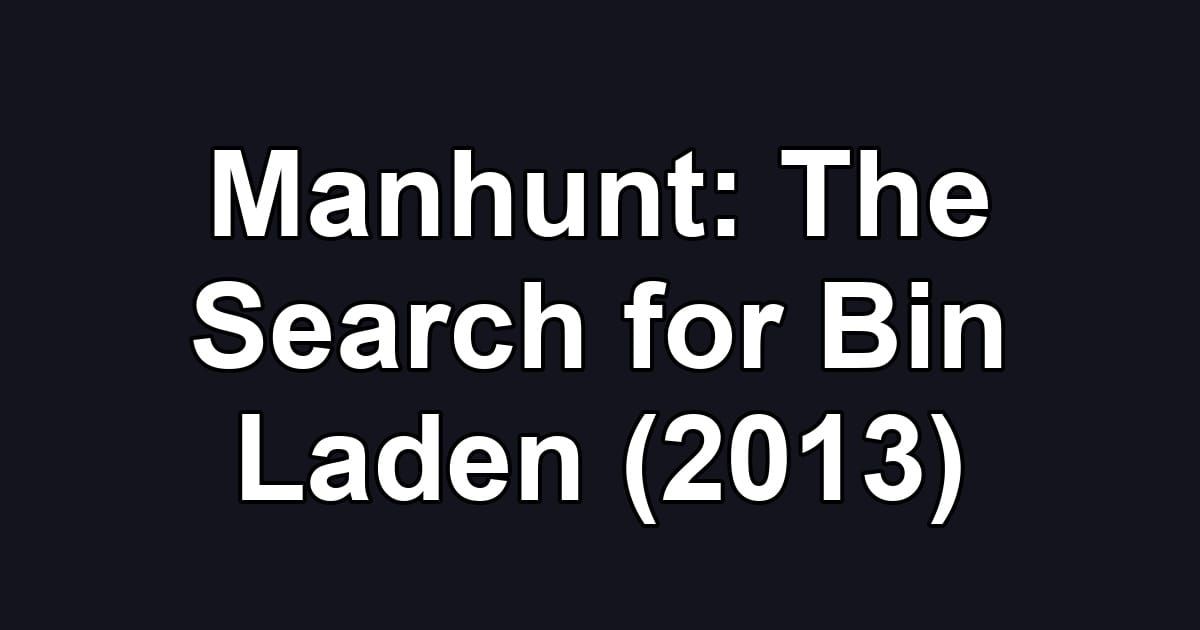 Manhunt: The Search for Bin Laden (2013)