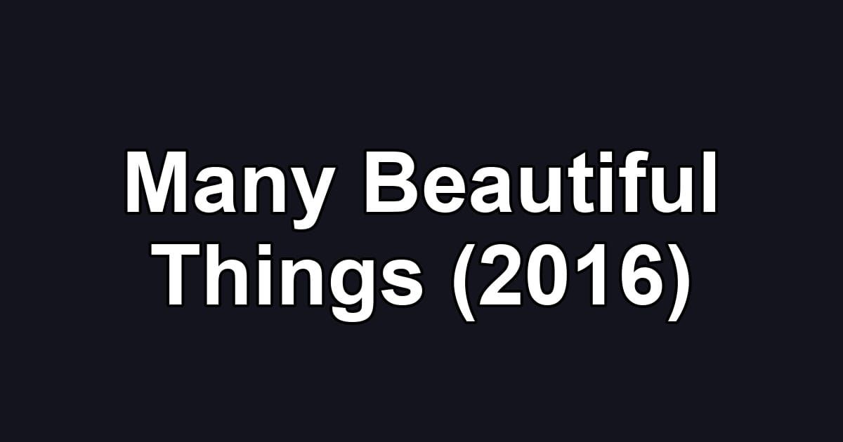 Many Beautiful Things (2016)