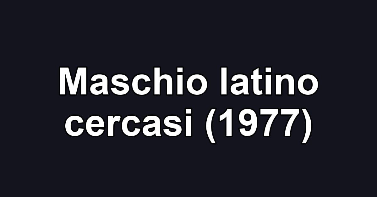 Maschio latino cercasi (1977)
