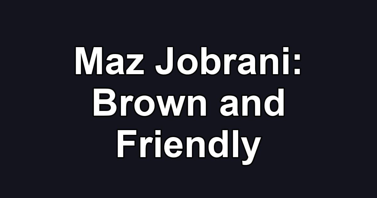 Maz Jobrani: Brown and Friendly