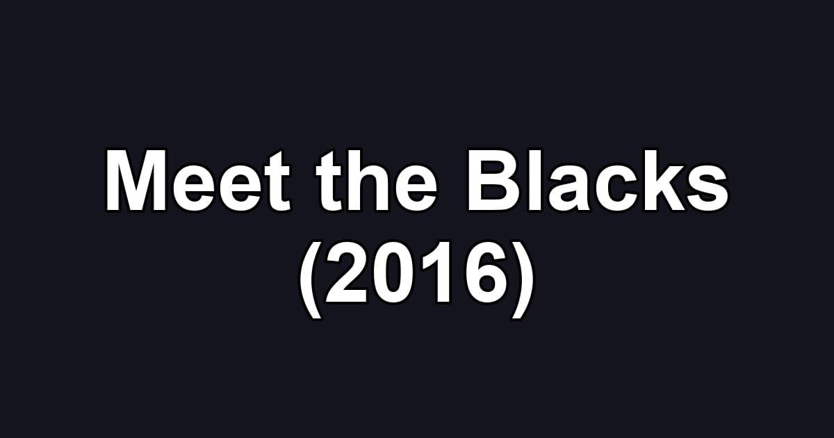 Meet the Blacks (2016)