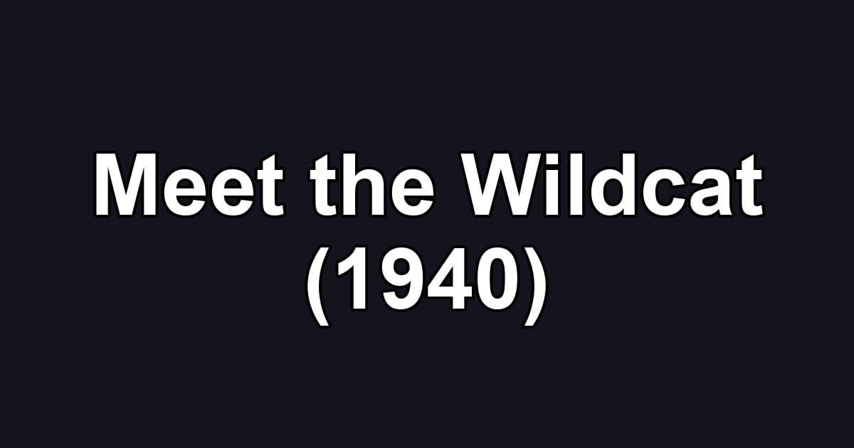 Meet the Wildcat (1940)