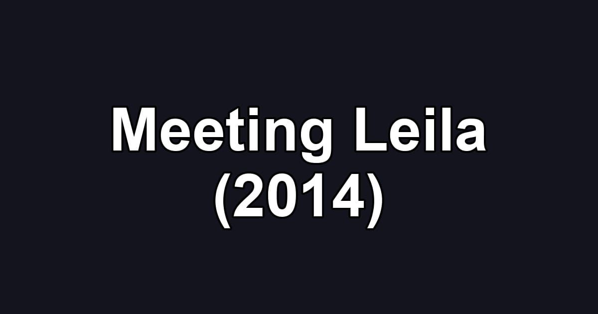 Meeting Leila (2014)