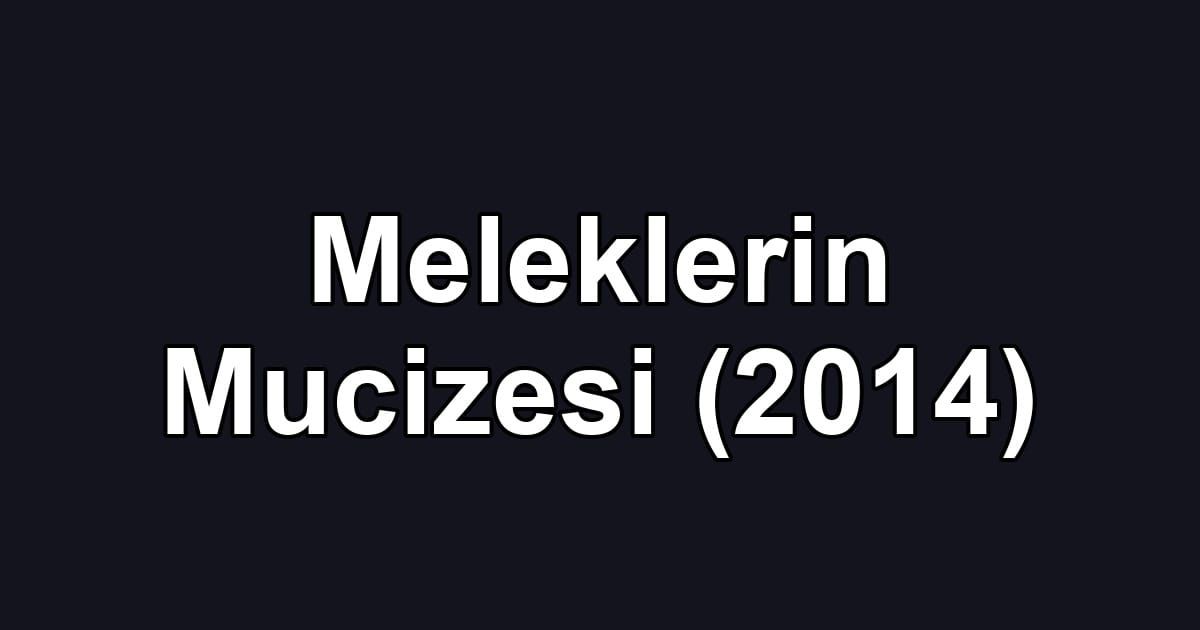 Meleklerin Mucizesi (2014)