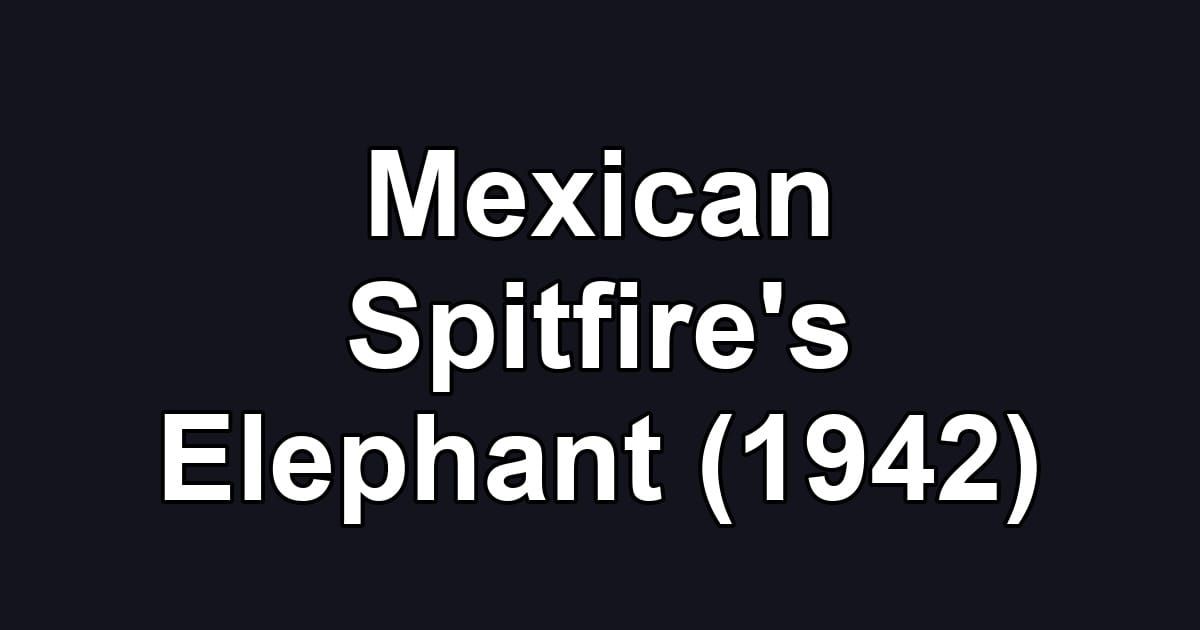 Mexican Spitfire's Elephant (1942)