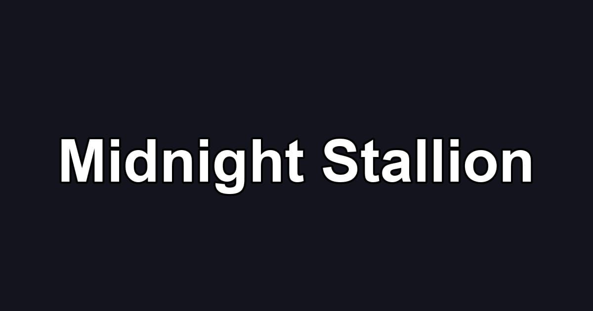 Midnight Stallion