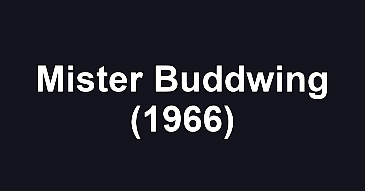 Mister Buddwing (1966)