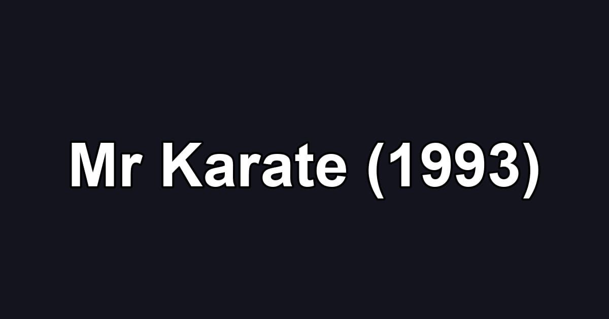 Mr Karate (1993)