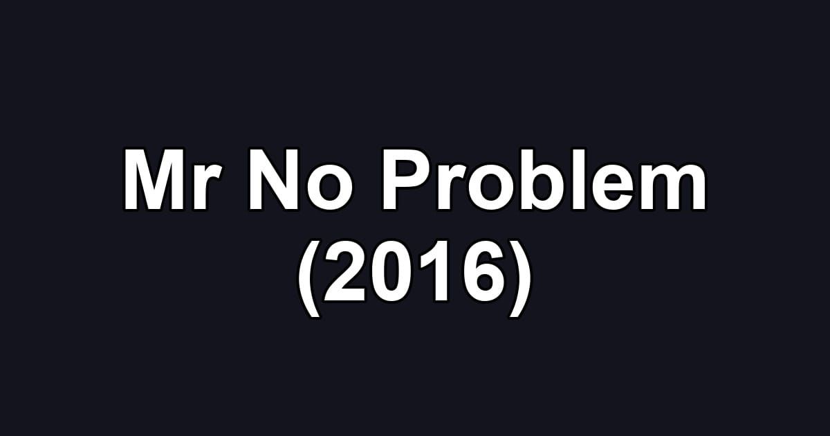 Mr No Problem (2016)