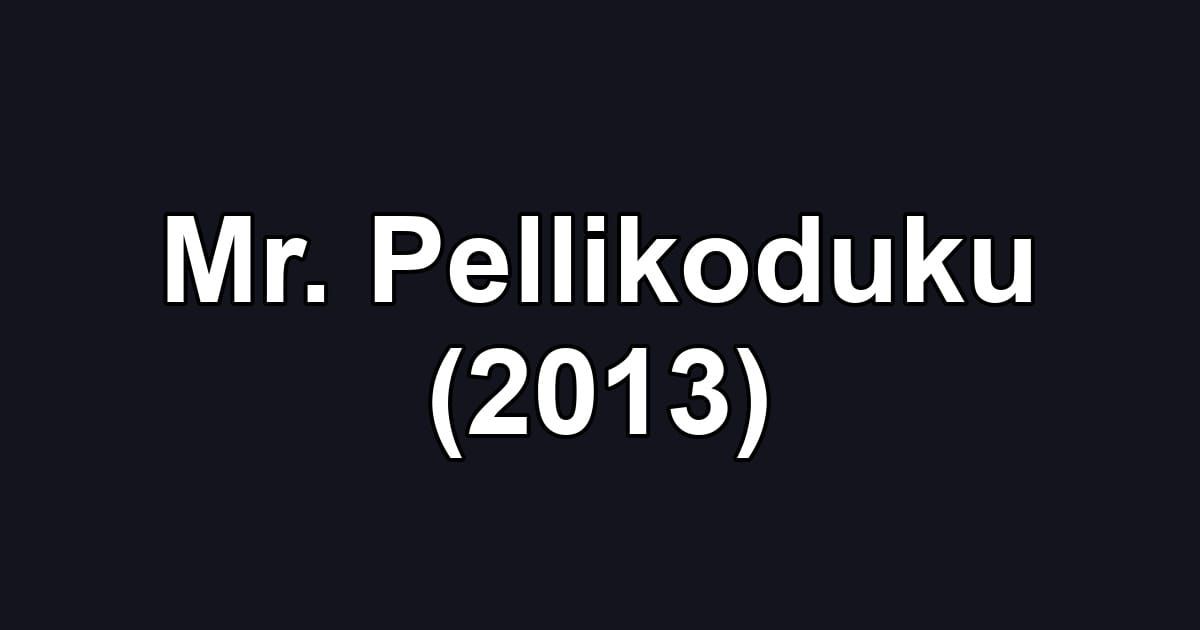 Mr. Pellikoduku (2013)