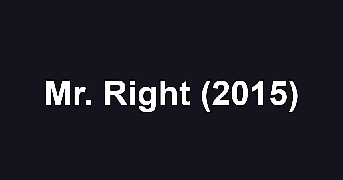 Mr. Right (2015)