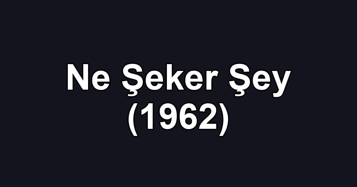 Ne Şeker Şey (1962)