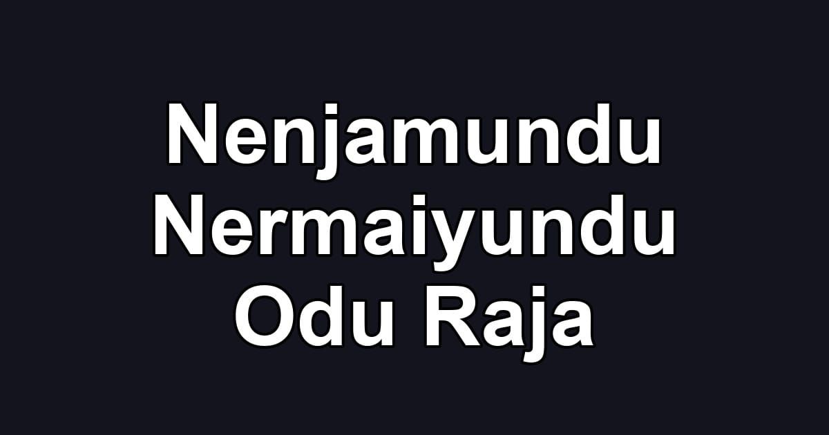 Nenjamundu Nermaiyundu Odu Raja