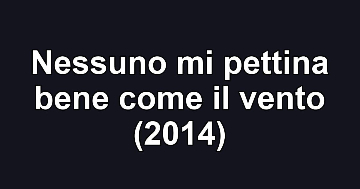 Nessuno mi pettina bene come il vento (2014)