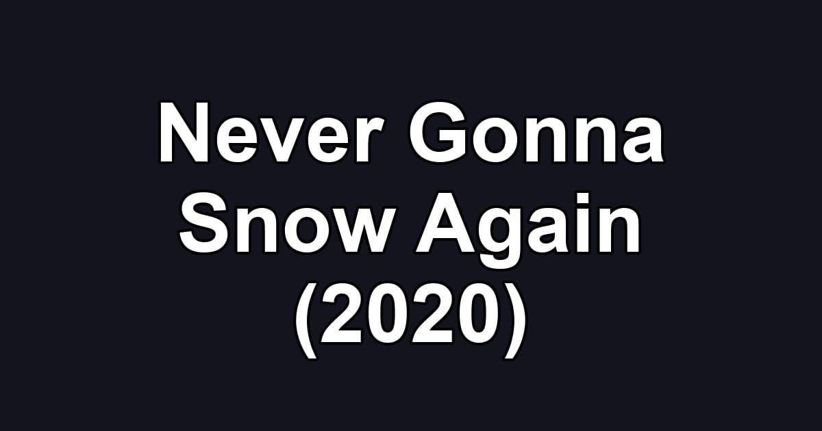 Never Gonna Snow Again (2020)
