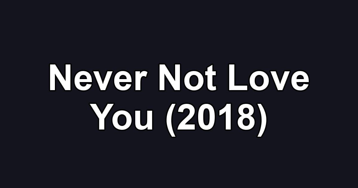 Never Not Love You (2018)
