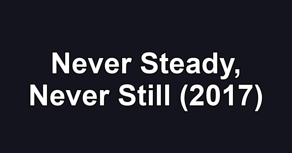 Never Steady, Never Still (2017)