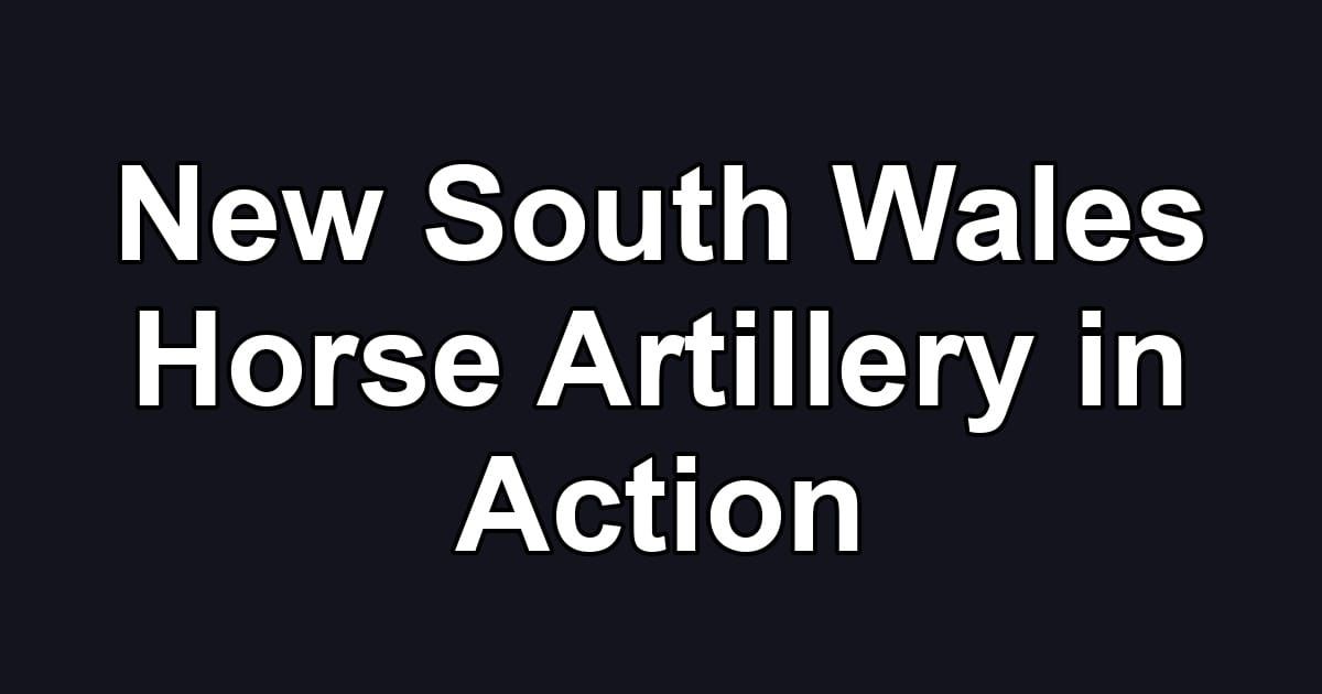 New South Wales Horse Artillery in Action
