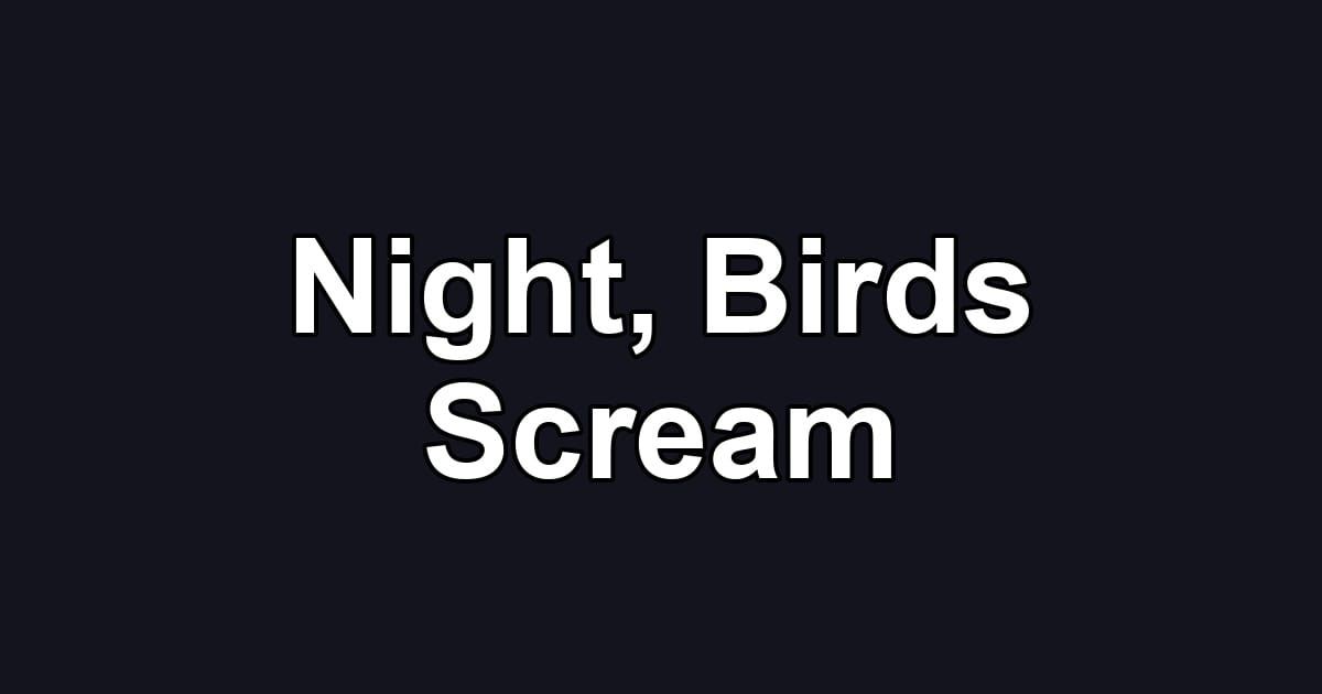 Night, Birds Scream