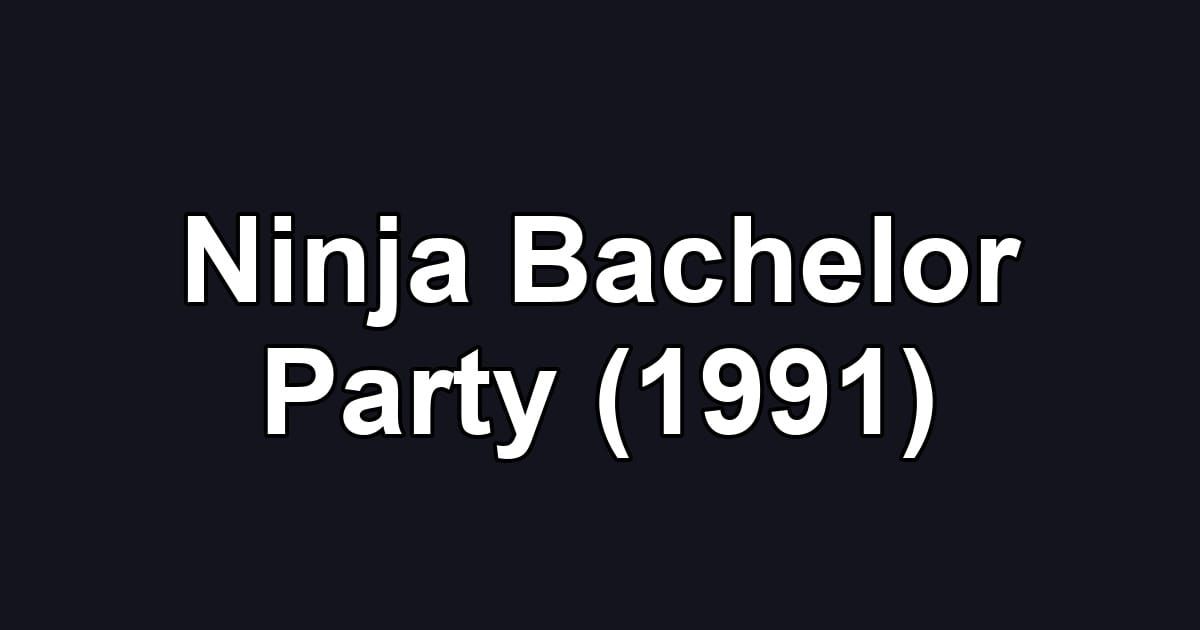 Ninja Bachelor Party (1991)