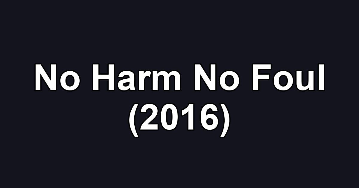 No Harm No Foul (2016)