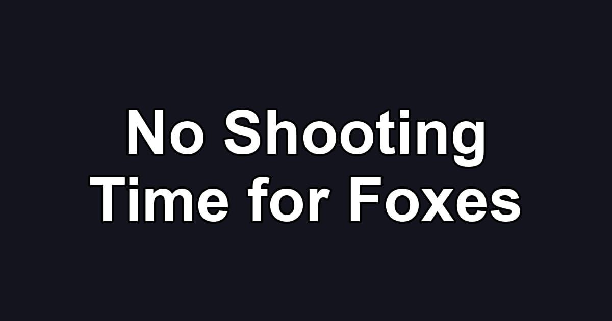 No Shooting Time for Foxes