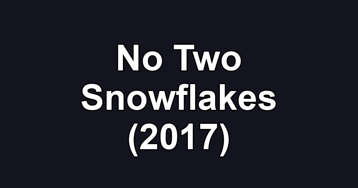 No Two Snowflakes (2017)