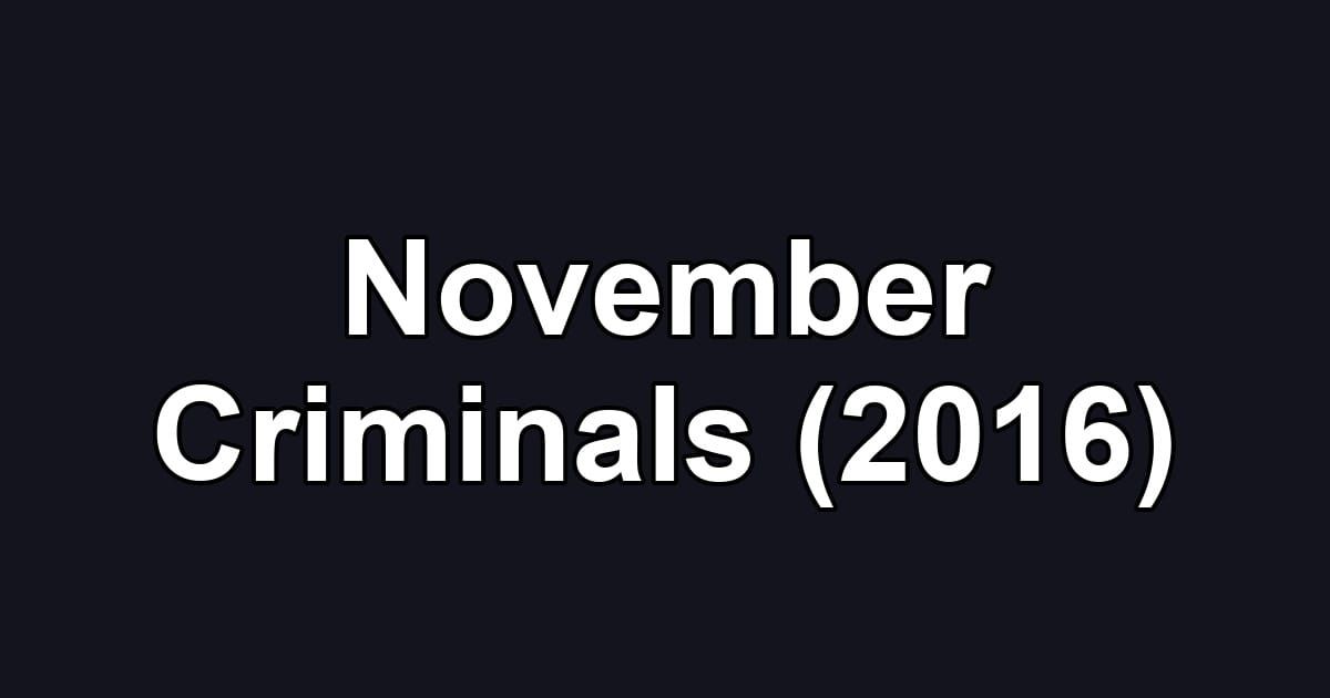 November Criminals (2016)