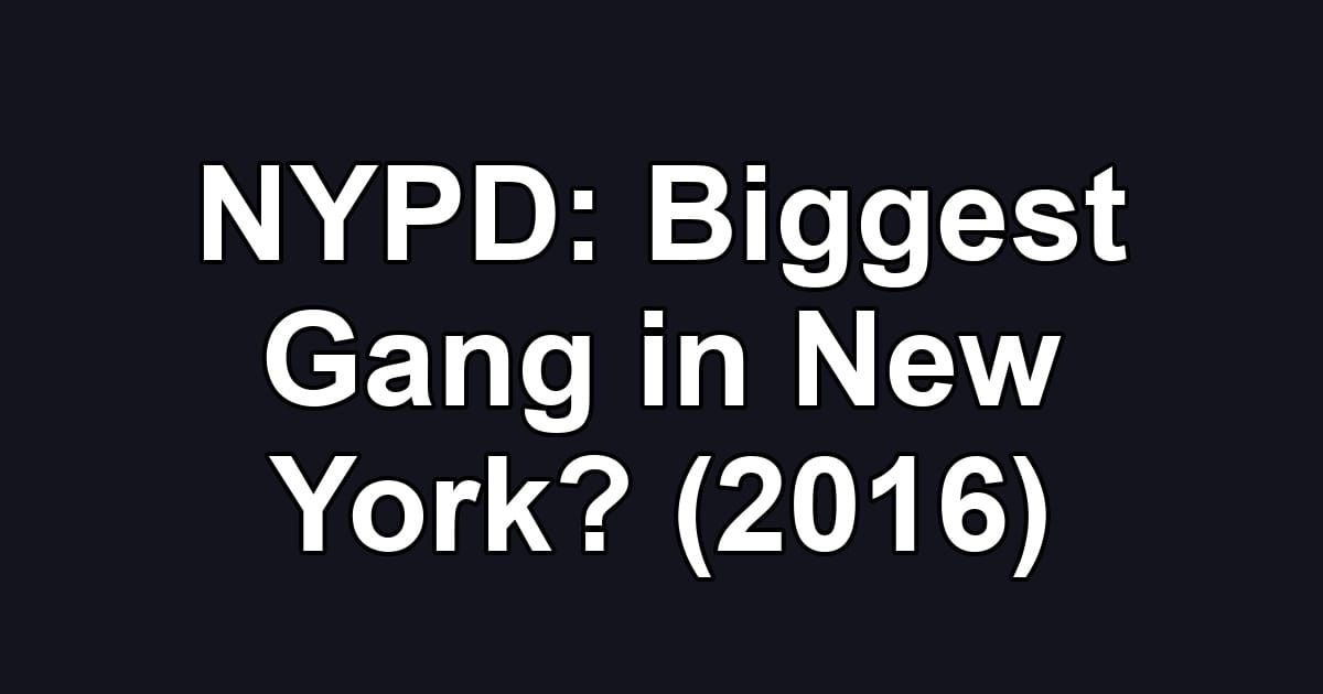 NYPD: Biggest Gang in New York? (2016)
