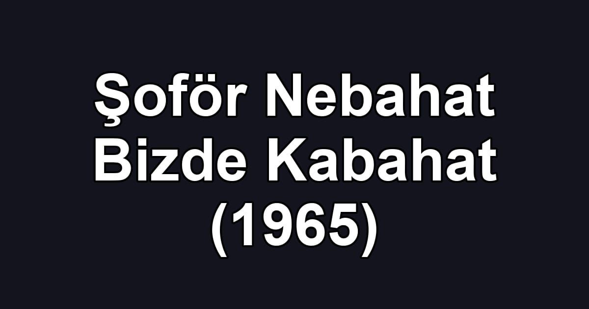 Şoför Nebahat Bizde Kabahat (1965)