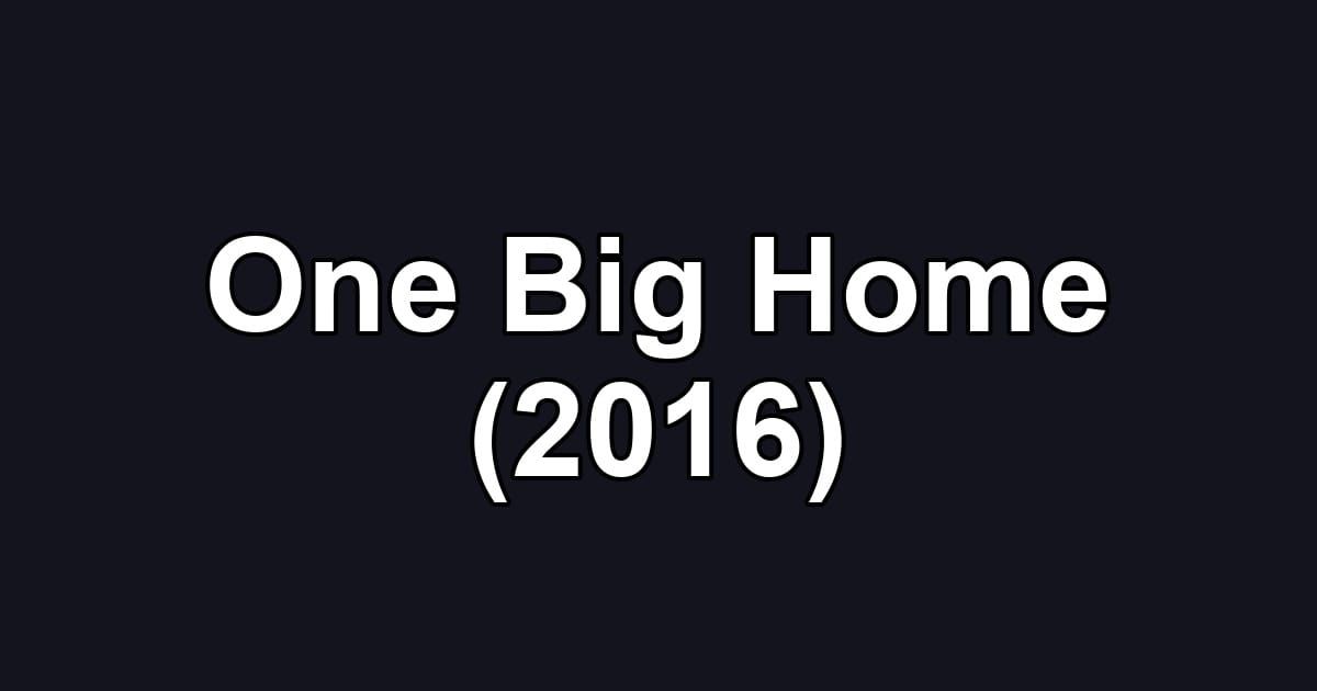 One Big Home (2016)