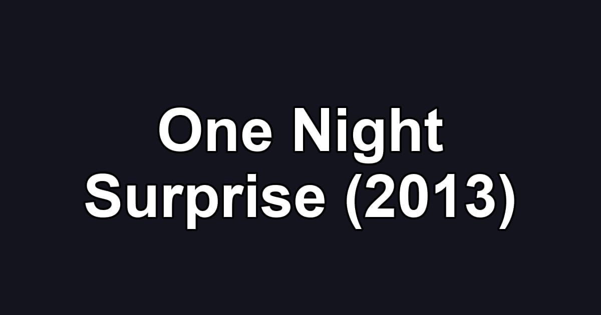 One Night Surprise (2013)