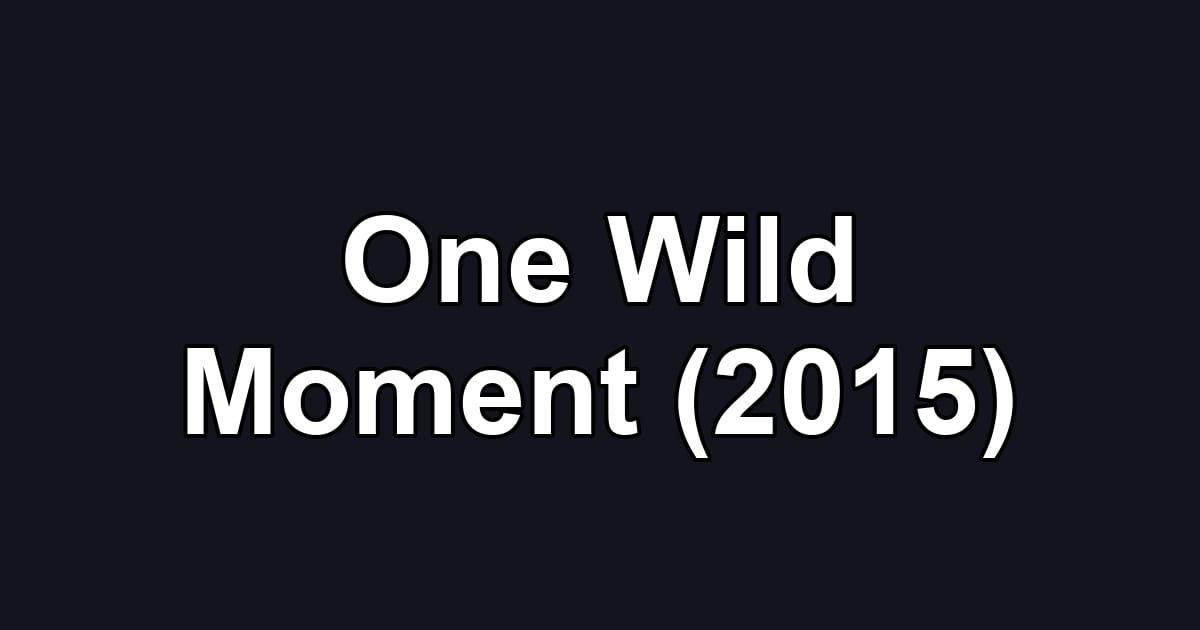 One Wild Moment (2015)
