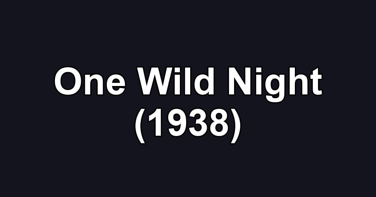 One Wild Night (1938)