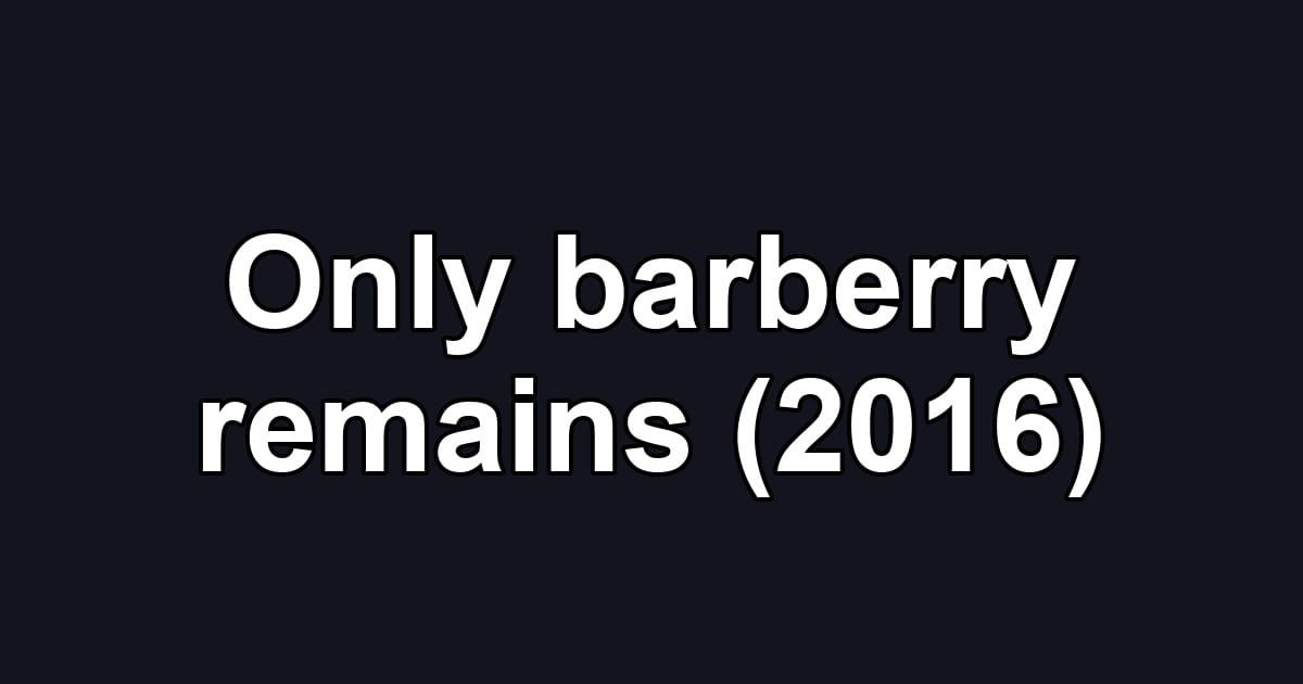 Only barberry remains (2016)