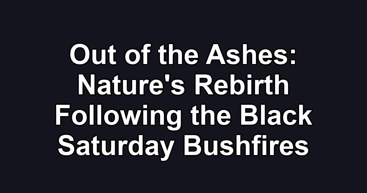 Out of the Ashes: Nature's Rebirth Following the Black Saturday Bushfires