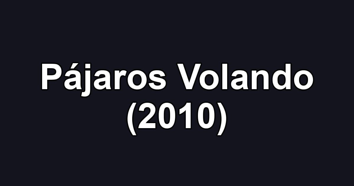 Pájaros Volando (2010)