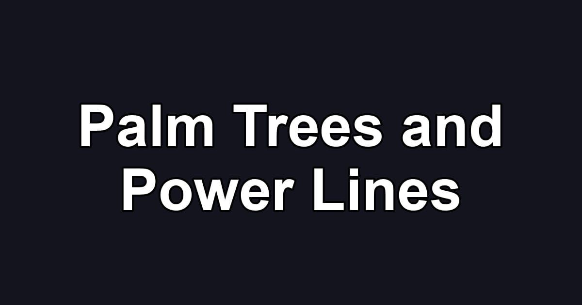 Palm Trees and Power Lines