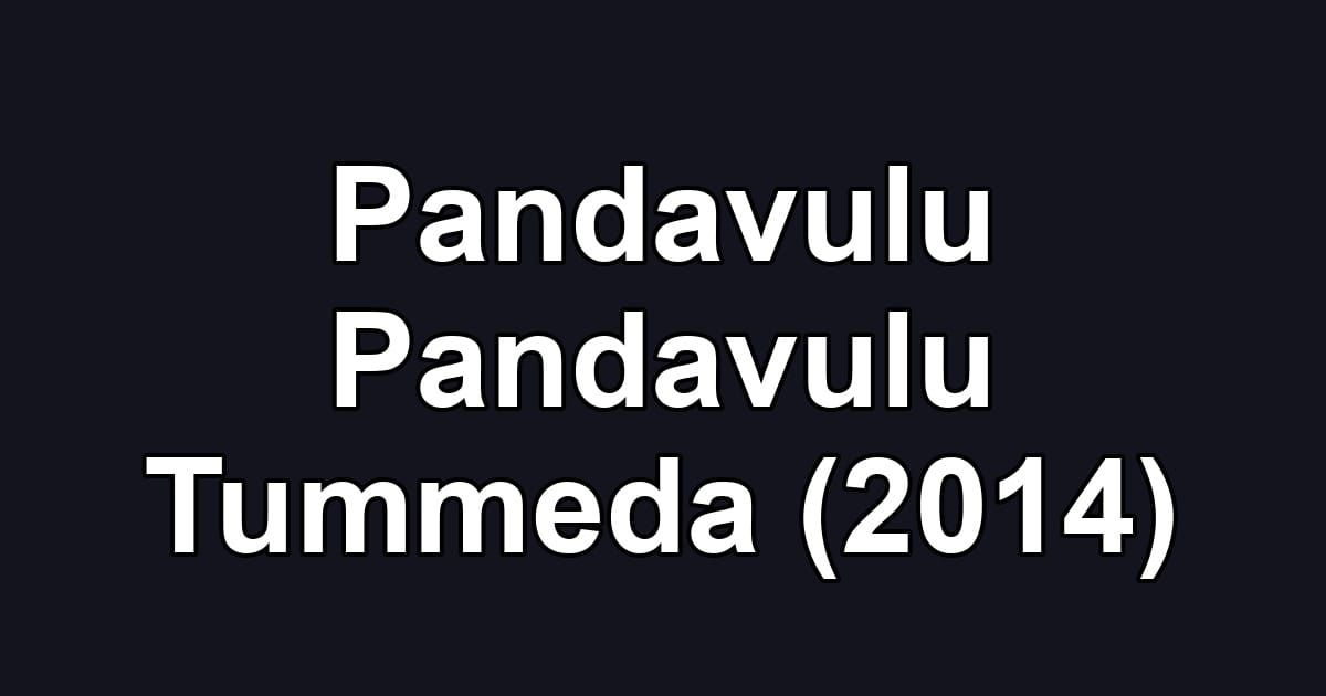 Pandavulu Pandavulu Tummeda (2014)