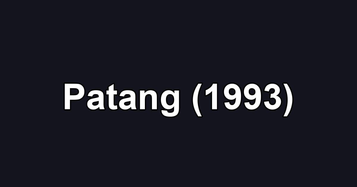 Patang (1993)