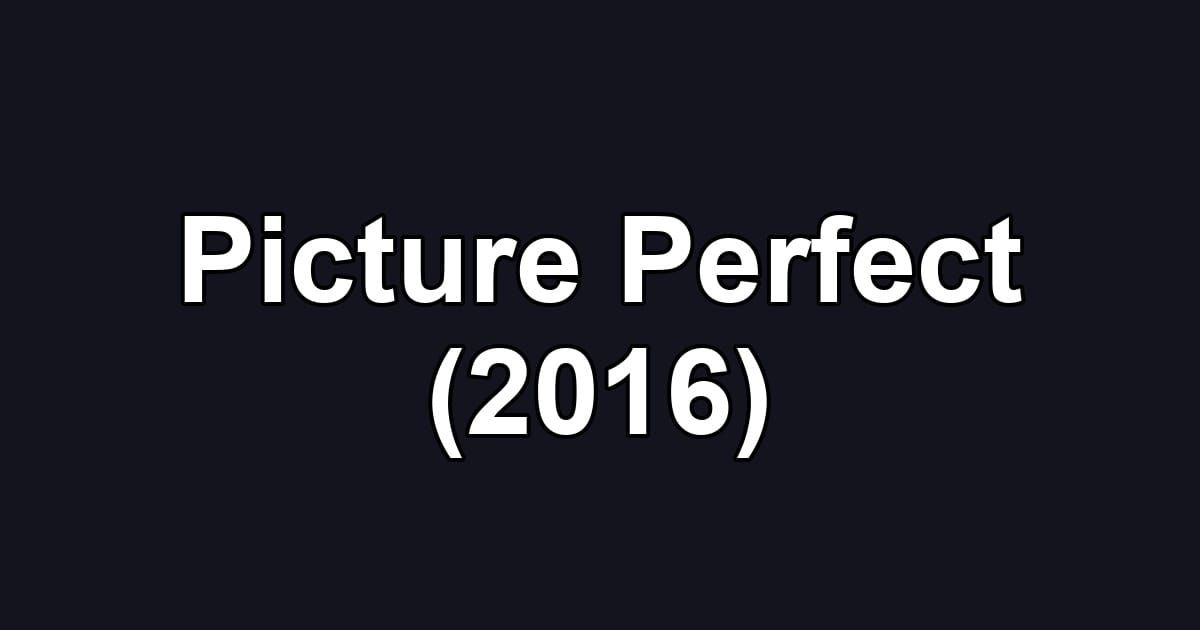 Picture Perfect (2016)