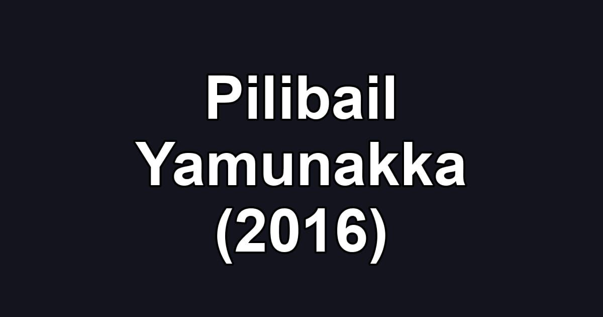 Pilibail Yamunakka (2016)