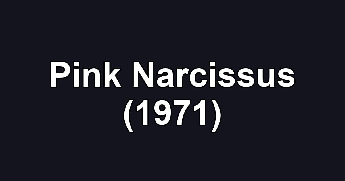 Pink Narcissus (1971)