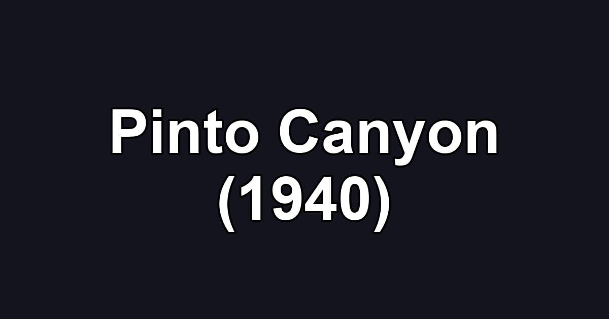 Pinto Canyon (1940)